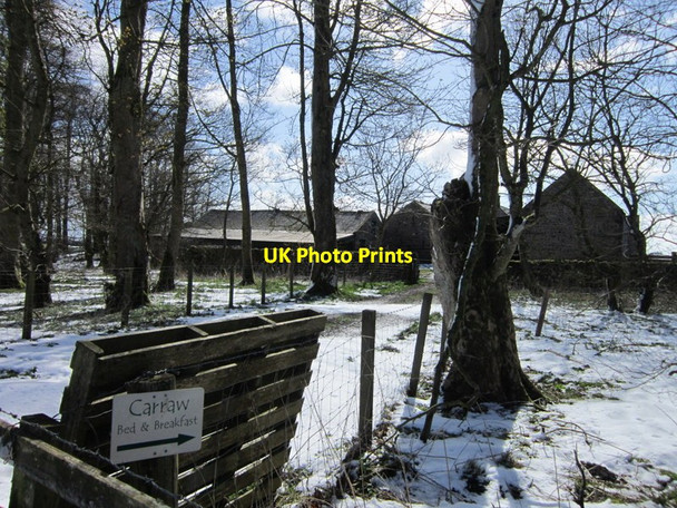 Photo 6"x4" Carraw Farm Uppertown\/NY8672 c2012
