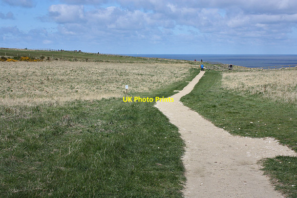 Photo 6"x4" Path to Bempton cliffs Bempton c2012