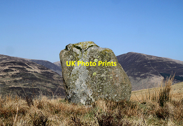 Photo 6"x4" A standing stone at Peatshiel Sike Capplegill c2012 P1