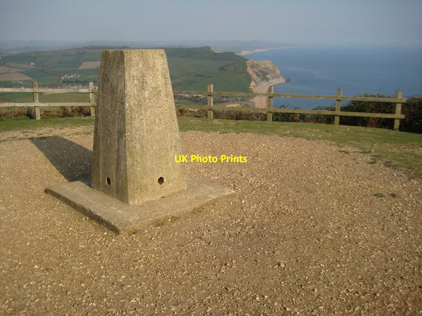 Photo 6"x4" Trig point in Golden Cap Chideock c2012