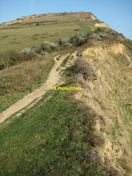 Photo 6"x4" Ascending Golden Cap Chideock c2012