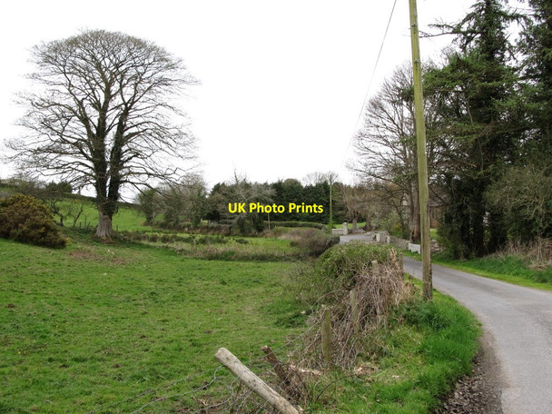 Photo 6"x4" View northwards along unnamed lane Newry c2012