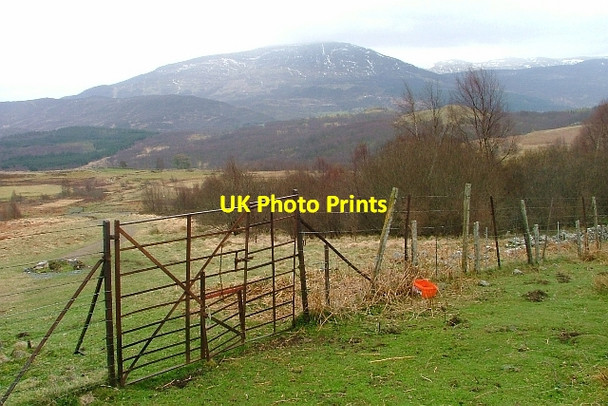Photo 6"x4" Gate in Deer Fence Trinafour c2012