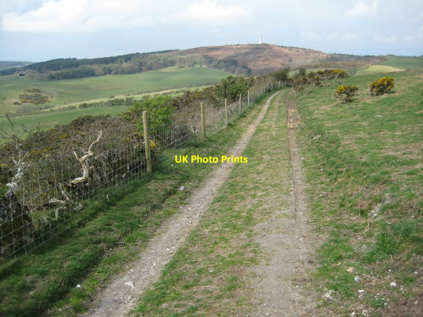 Photo 6"x4" Bridleway on Bronkham Hill Coryates c2012