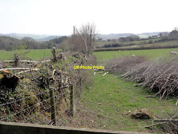 Photo 6"x4" Hedge Cutting Sigford c2012