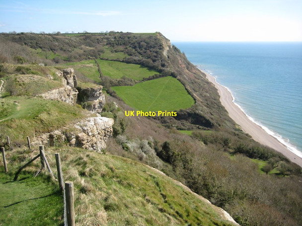Photo 6"x4" Above Lower Dunscombe Cliff Weston\/SY1688 c2012