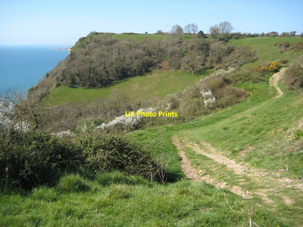 Photo 6"x4" Path through Lincombe Salcombe Regis c2012
