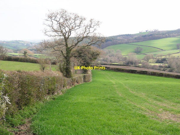 Photo 6"x4" Field by the Roadside Sigford c2012