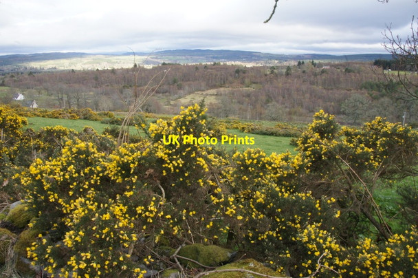 Photo 6"x4" Culburnie from Fanellan Culburnie c2012