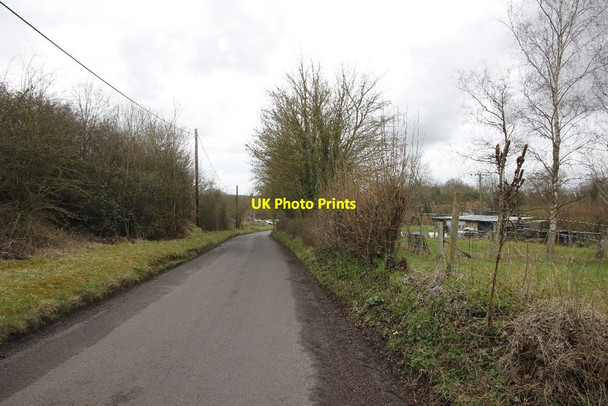 Photo 6"x4" Along the Horsebridge road Horsebridge\/SU3430 c2012