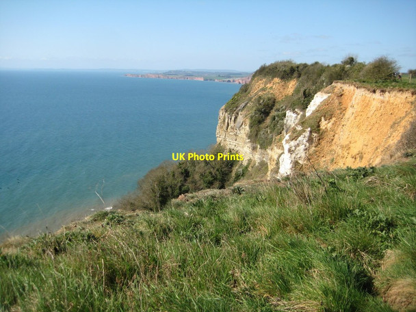 Photo 6"x4" Clifftop, Higher Dunscombe Cliff Salcombe Regis c2012