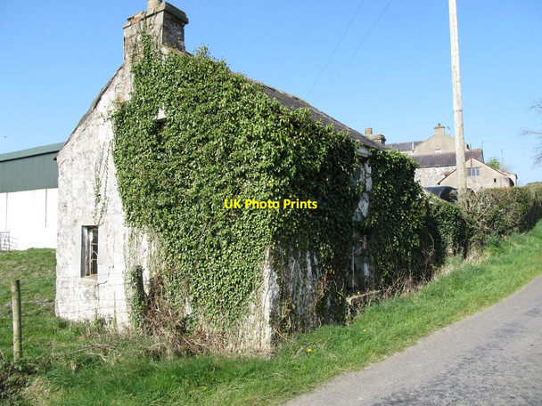 Photo 6"x4" Alice McClory's Cottage Milltown\/J1436 c2012