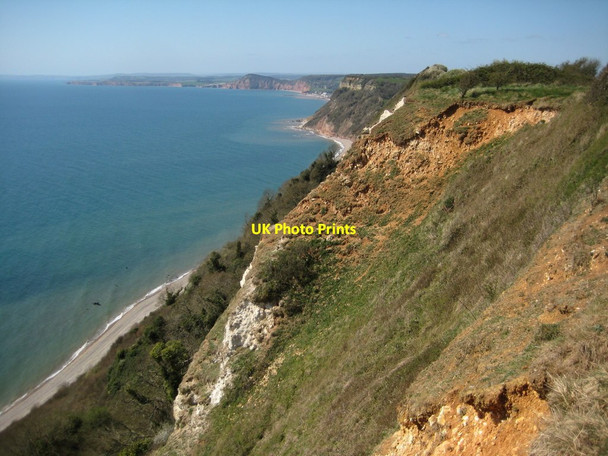 Photo 6"x4" Above Weston Cliff Weston\/SY1688 c2012