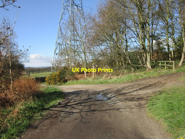 Photo 6"x4" The path turns left towards Ashbank Wood Houghton\/NZ1266 c2012