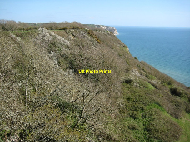 Photo 6"x4" Above Berry Cliff Branscombe c2012