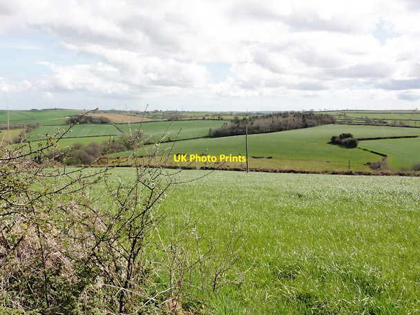 Photo 6"x4" The Valley of Moorshead Brook Dean Prior c2012