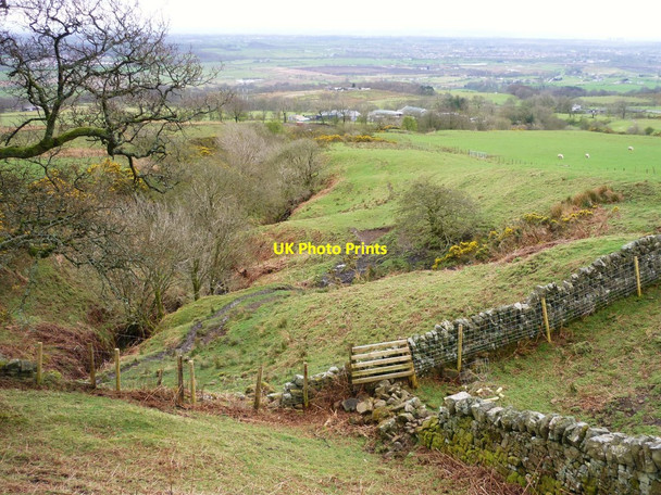 Photo 6"x4" Drystane Dykes, Corrie Queenzieburn c2012