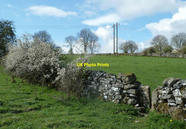 Photo 6"x4" Hillside fields between Bonsall and Slaley Matlock c2012