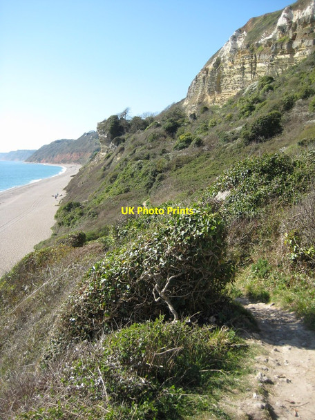 Photo 6"x4" Coast path above Hooken Beach Vicarage c2012