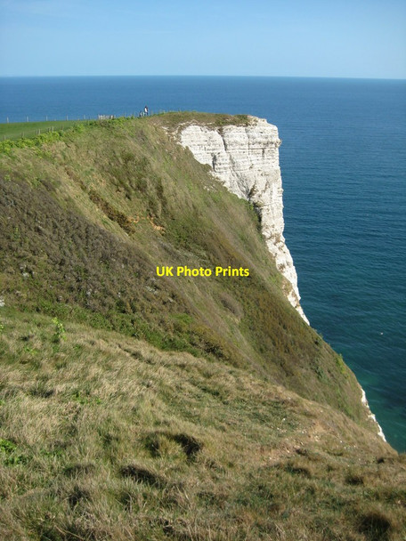 Photo 6"x4" Chalk cliffs at Beer Head Beer\/SY2289 c2012