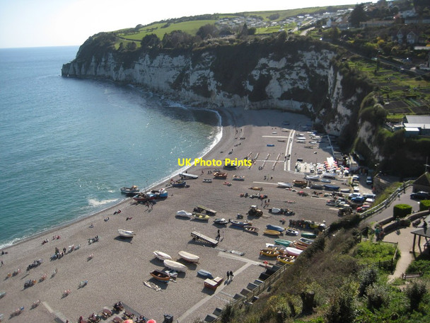 Photo 6"x4" The beach at Beer Seaton\/SY2490 c2012