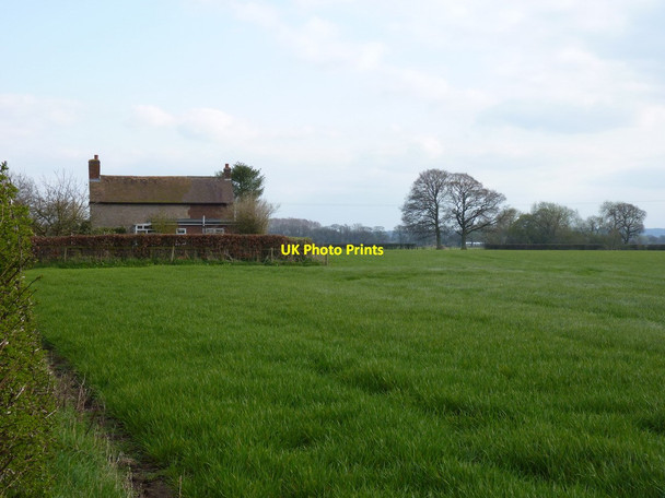 Photo 6"x4" The Covert cottage Hadnall c2012