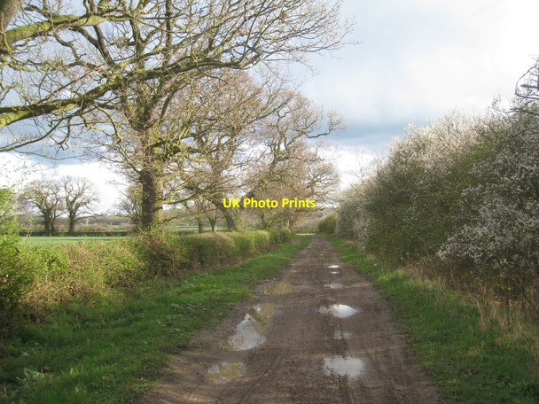 Photo 6"x4" Sewstern Lane Stenwith c2012