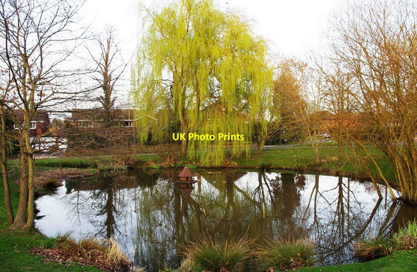 Photo 6"x4" The pond on the village green at Bisley, Surrey Bisley\/SU9559 c2012