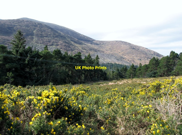 Photo 6"x4" The col between Drinnahilly and Slievenamaddy Newcastle\/J3732 c2012