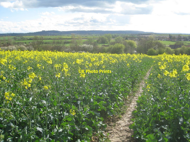 Photo 6"x4" View towards Belvoir Muston\/SK8237 c2012