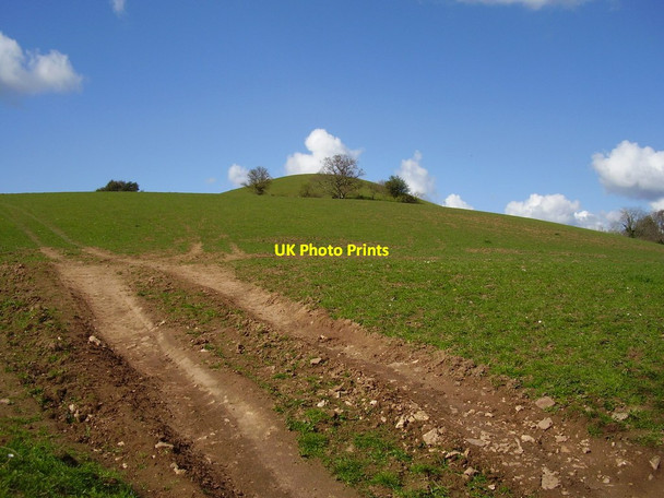Photo 6"x4" Round Ball Hill Ottery St Mary c2012