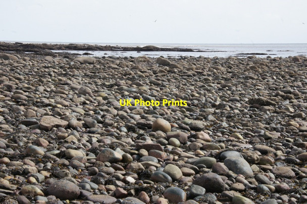 Photo 6"x4" Rocky shore at the east end of the West Links, Arbroath Arbroath c2012