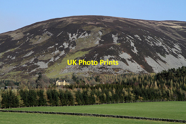 Photo 6"x4" Stanhope Farm Stanhope\/NT1229 c2012