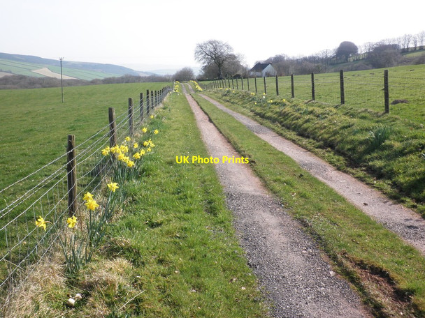 Photo 6"x4" Farm road, near Lype Brake Churchtown\/SS9738 c2012