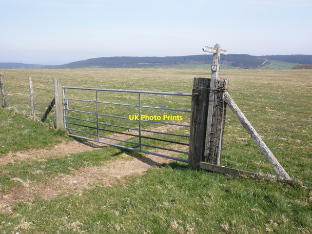 Photo 6"x4" Gateway and signpost, on Lype Common Churchtown\/SS9738 c2012