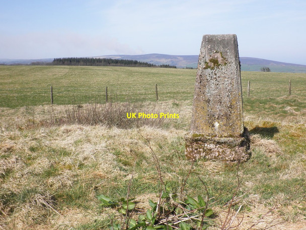 Photo 6"x4" Trig point on Lype Hill Churchtown\/SS9738 c2012