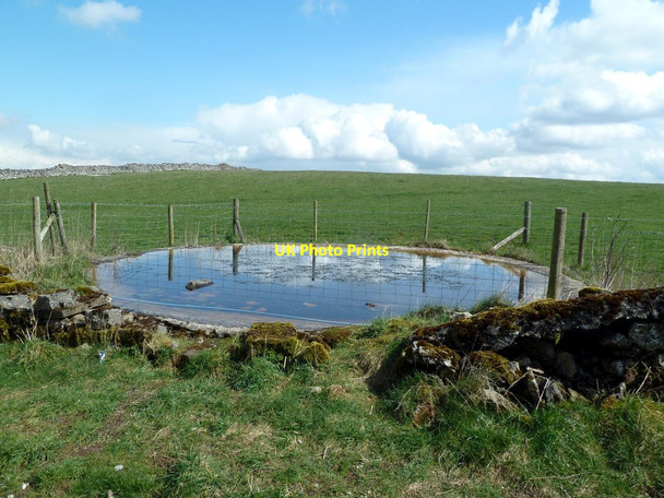 Photo 6"x4" Dew pond on Middleton Moor Stoney Middleton c2012