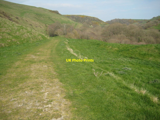 Photo 6"x4" Track through Hill Bottom Kingston\/SY9579 c2012 P1