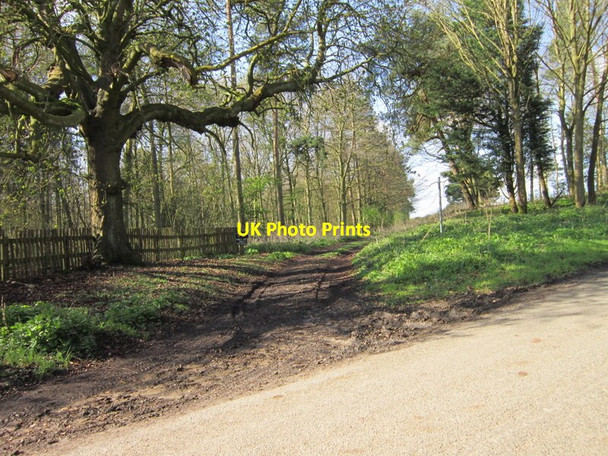Photo 6"x4" The bridleway down Sandy Lane Stenigot c2012