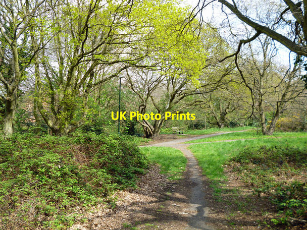 Photo 6"x4" On Barnes Common Barnes c2012