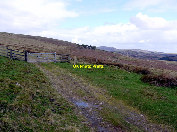 Photo 6"x4" Track on Snear Hill Middleton Hall\/NT9825 c2012