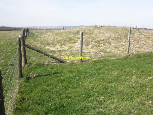 Photo 6"x4" Tumulus on Lype Hill Wheddon Cross c2012