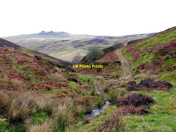 Photo 6"x4" Track crossing the Hawsen Burn Harthope Burn\/NT9522 c2012