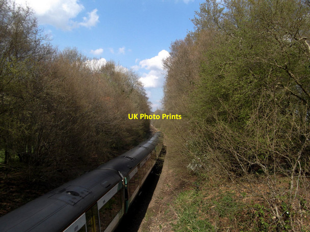 Photo 6"x4" London Bound Potter's Green\/TQ5023 c2012