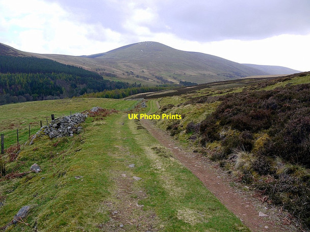 Photo 6"x4" Track to Harthope valley Harthope Burn\/NT9522 c2012