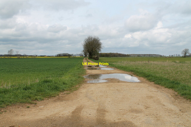 Photo 6"x4" Track with puddles off Dunsby Drove Dunsby c2012