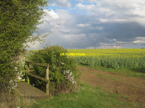 Photo 6"x4" Footpath to Sedgebrook Sedgebrook c2012