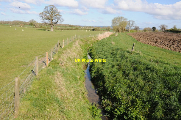 Photo 6"x4" Billow Brook Tumpy Green c2012