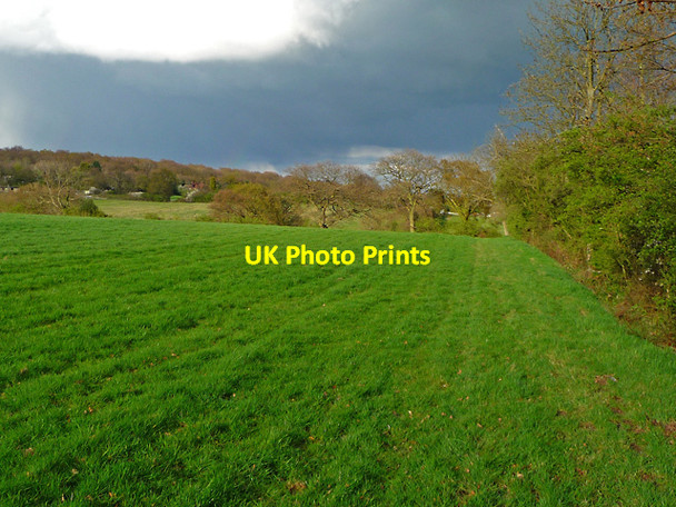 Photo 6"x4" Public footpath to Clapgate Great Warley c2012
