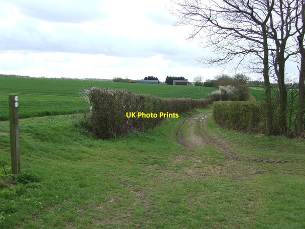 Photo 6"x4" Footpath Junction Little Walden c2012